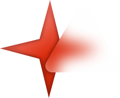 Enterprise Systems